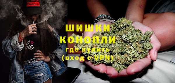 МДПВ Гусиноозёрск