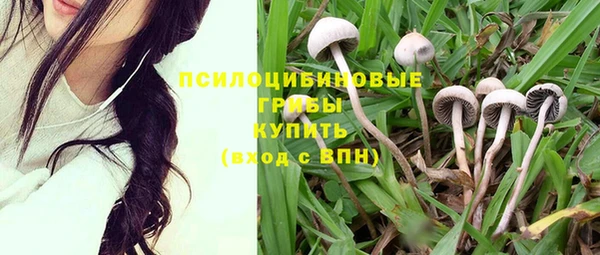 a pvp Гусь-Хрустальный