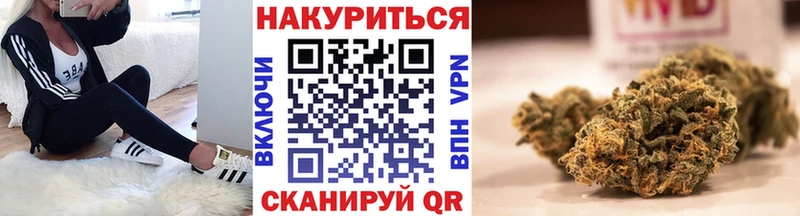 купить наркотики сайты  Черноголовка  Канабис план 